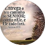 Dione Braga